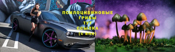 твердый Богородицк